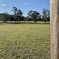 View from Olen Cabin North West Meanderi