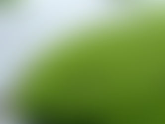 Why Edging Grass Matters