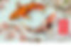 COVER 2.png