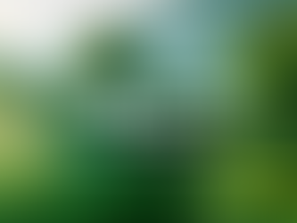 Thiết kế nhà chống nóng Đà Nẵng giá 100k/m² chuẩn 2026