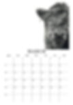 Thumbnail: Perfectly Imperfect 2025 Wall Calendar