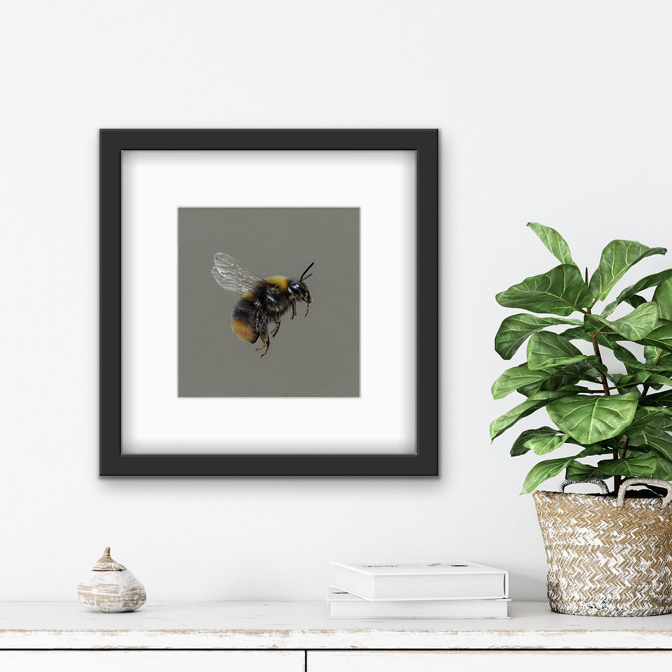 Thumbnail: Let It Bee