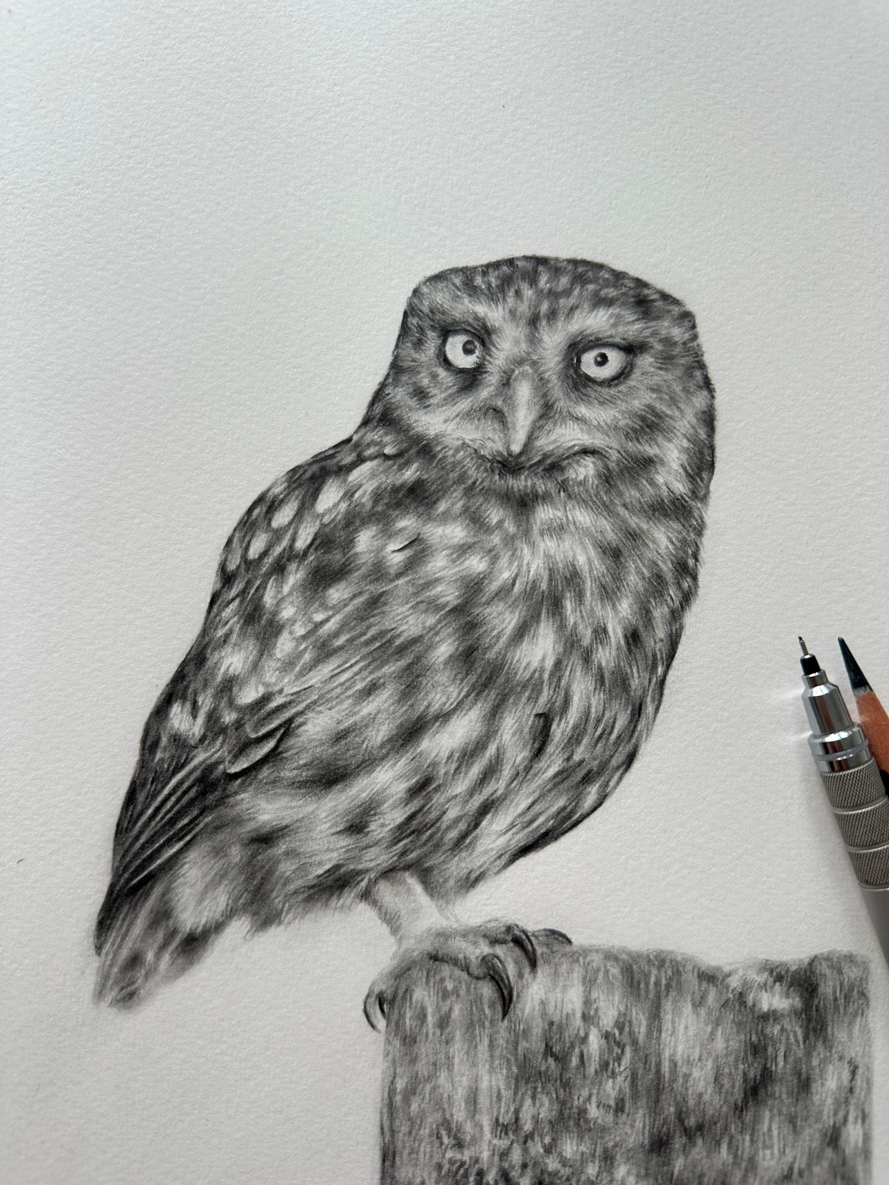 Graphite Owl Masterclass