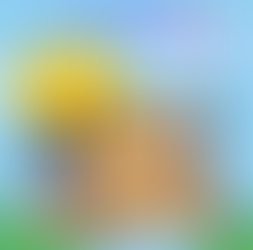 🍎りんご親子教室のご案内