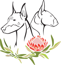 ProteaSimplified (2).png