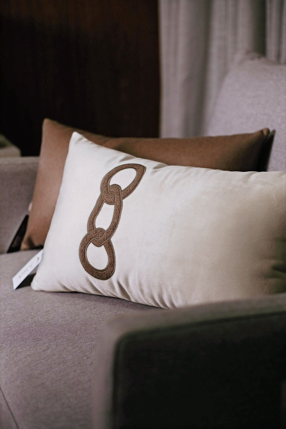 Almofada Retangular Elo Orgânico Veludo 30x50 cm