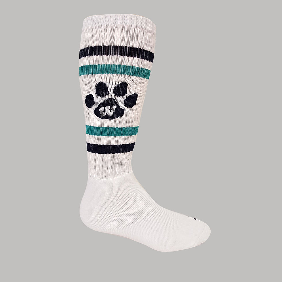 PAW STRIPES