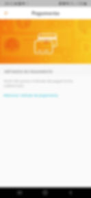 payment_screen