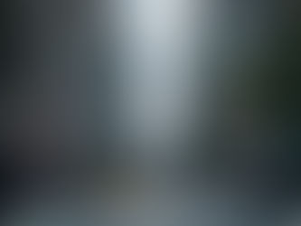 The New York Rental Market!