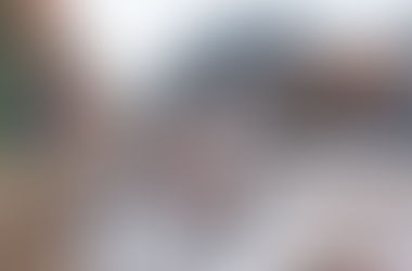 Environmental Sustainability