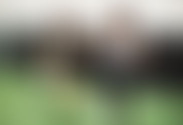 personal trainer and client doing strength training exercises for runners at a gym in Frederick Maryland