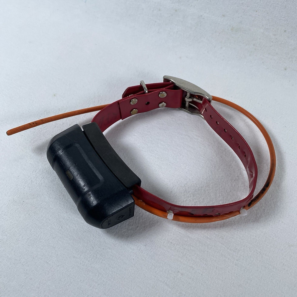 Miniatura: Garmin Astro 320 Tracker GPS et deux colliers pour chien DC40