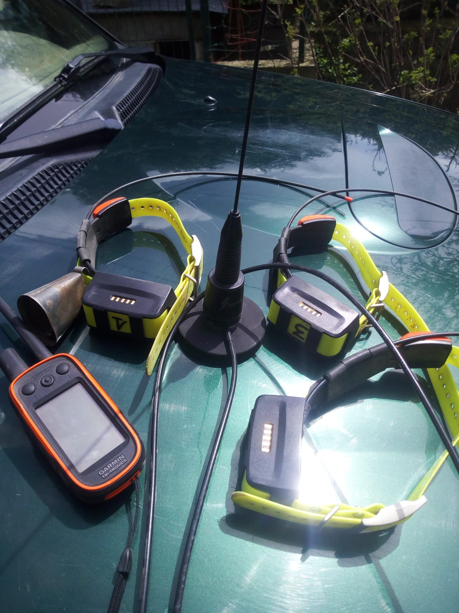 Pack 3 colliers TT15 + Garmin Reperage ; Dressage Telecommande Alpha 100