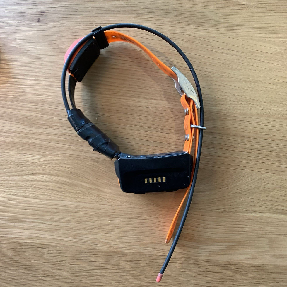 Miniatura: Garmin Astro 430 + 2 colliers T5