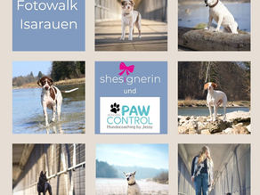 🐾 Fotowalk Isarauen – Das perfekte Match für dich und deinen Vierbeiner! 📸✨