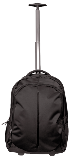 Travel Case_edited.png