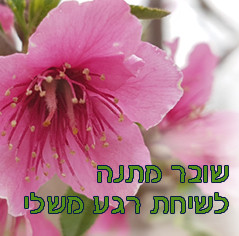 MY MOMENT שובר מתנה לפגישת