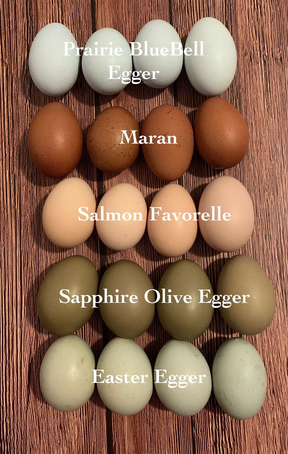 Thumbnail: Colored Egg Laying Chickens For Sale Houston Texas