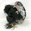 Thumbnail: Black Mottled Bantam Cochin Chicks
