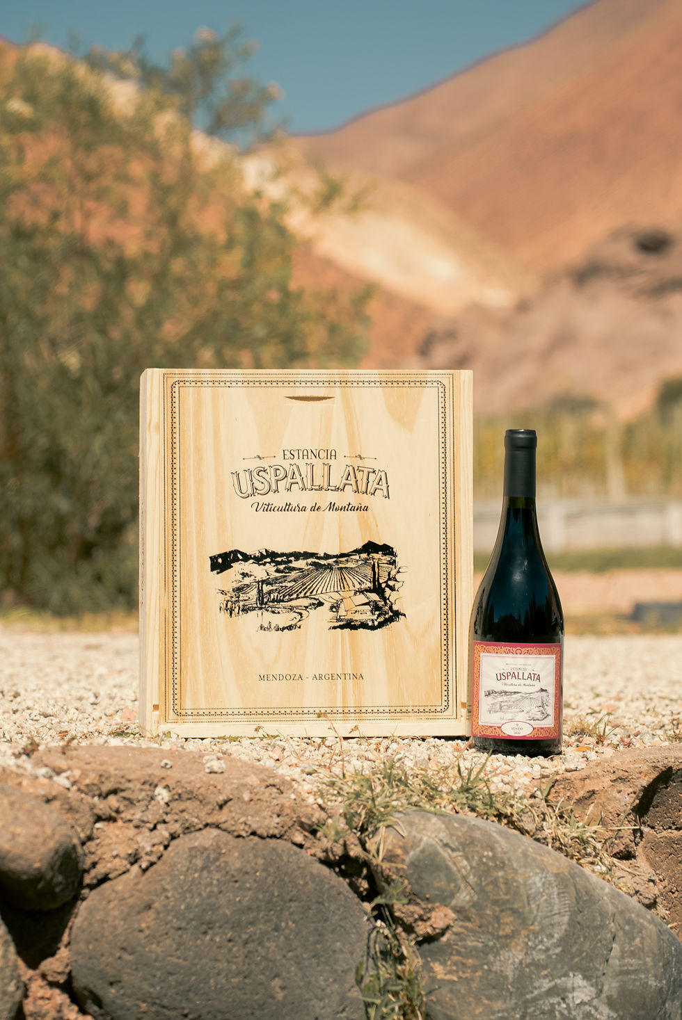Miniatura: Vino Estancia Uspallata Igneo 