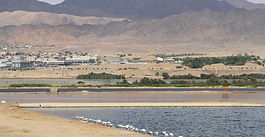 HTC Implements Bird Observatory Development Works – Northern Pond, First Package