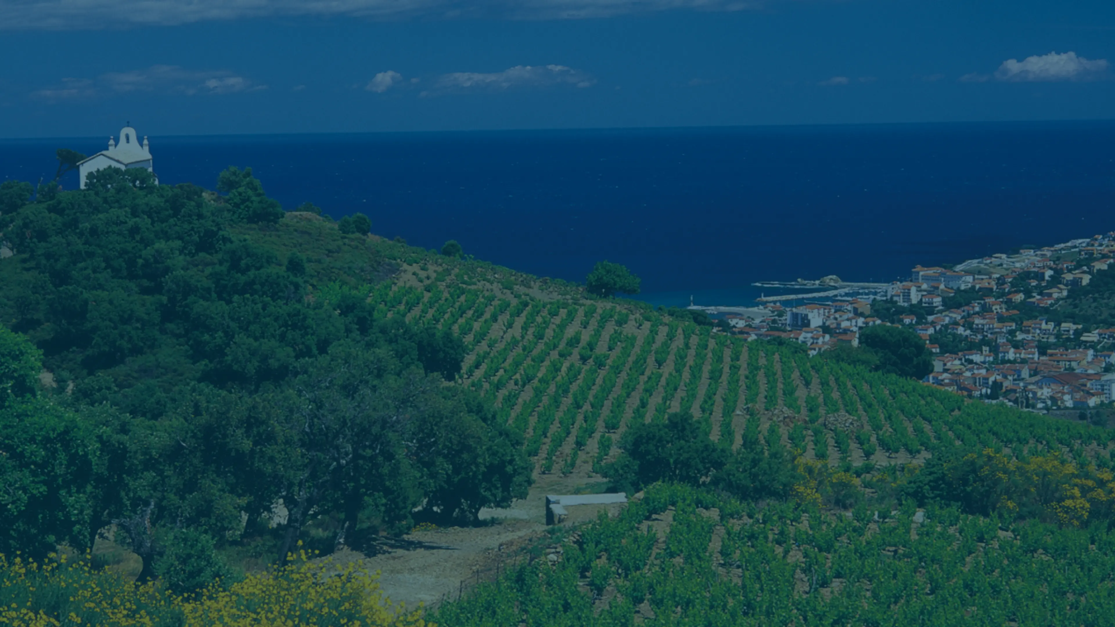 Home Coastal Wine Connection