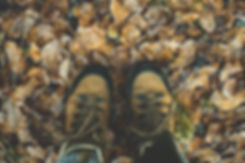 pexels-photo-284711.jpeg