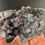 Thumbnail: Grape Agate