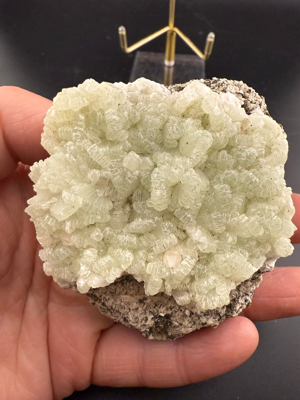 Thumbnail: Raw Prehnite on Matrix