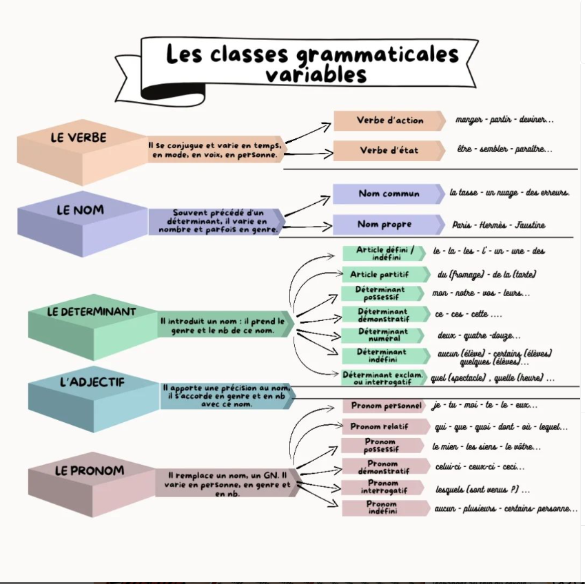 Carte mentale Classes grammaticales variables