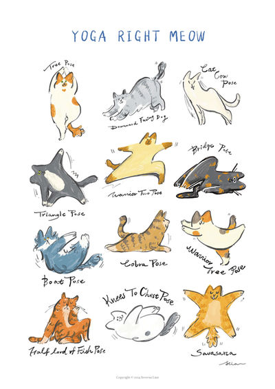 cat yoga illustration, severuslian illustration