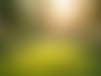 Explore Mindfulness and Resilience with MindfulMe Wellbeing