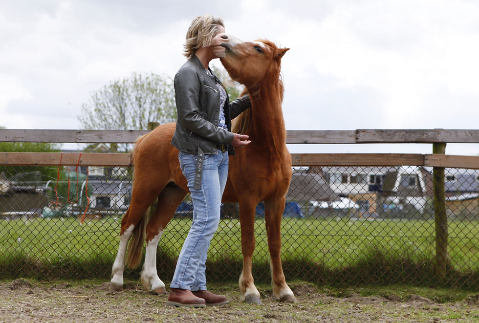 Pony zoekt zelf verbinding met Petra