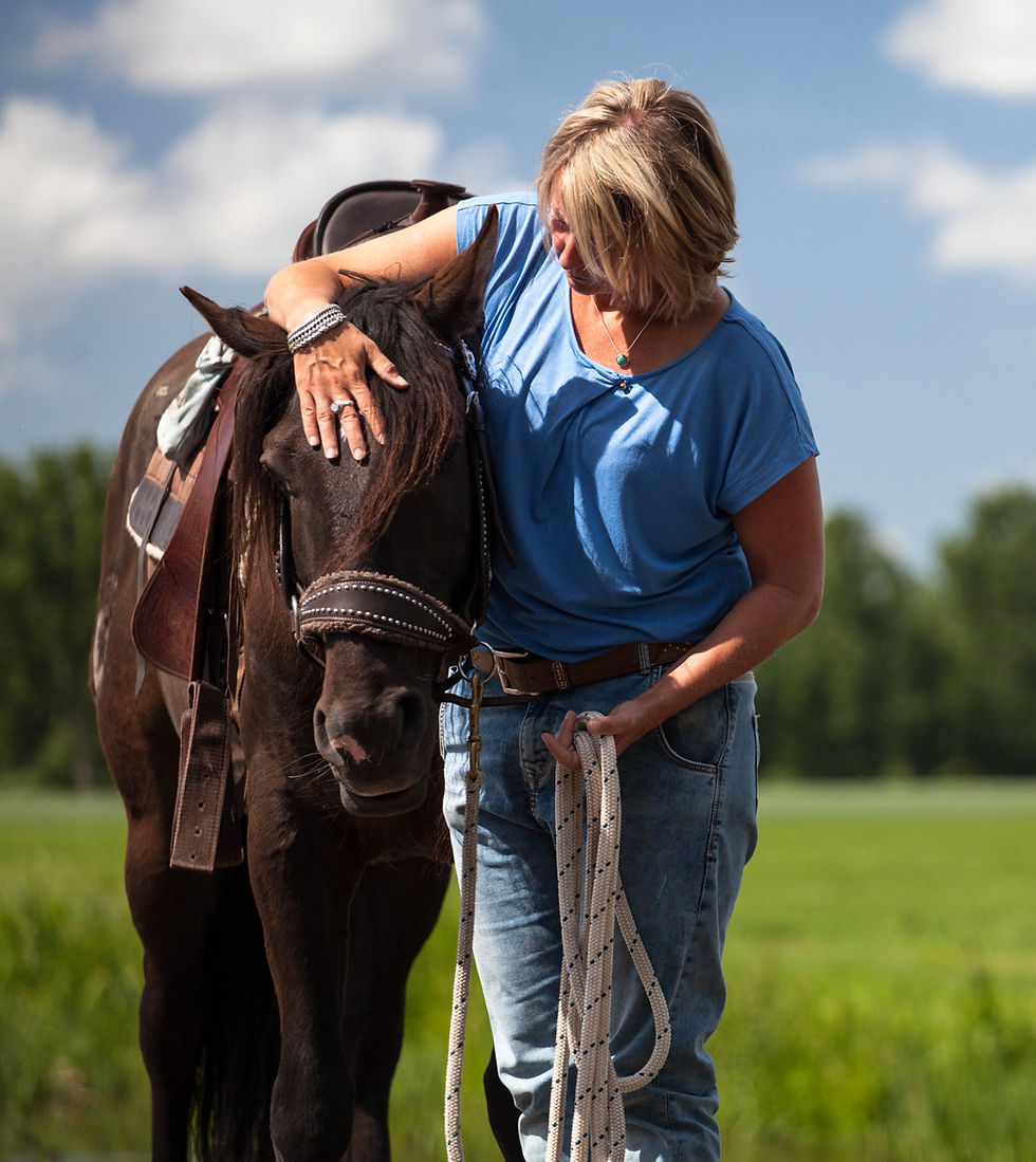 2Moons Polyvagaal Theorie & paarden trainen