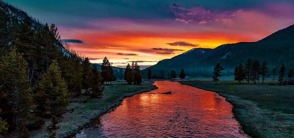 yellowstone.jpg