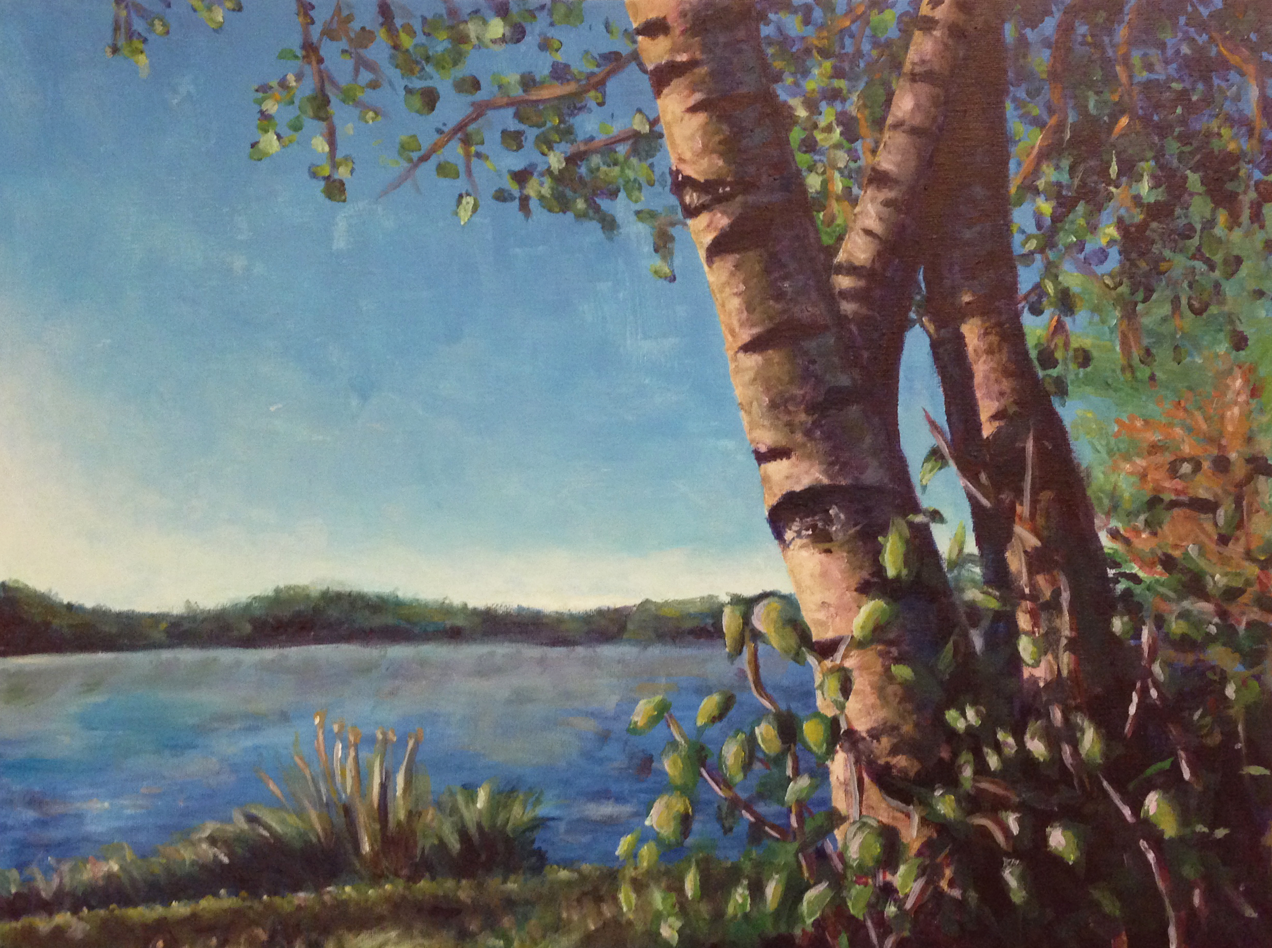Three Birch Trees by the Water