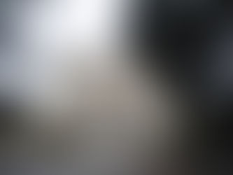 010 |  Roma – Villa Borghese