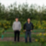 Thumbnail: Fresh Finger Limes