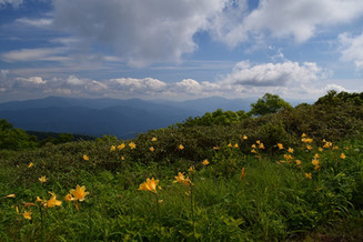 DSC_0687_crop.jpg