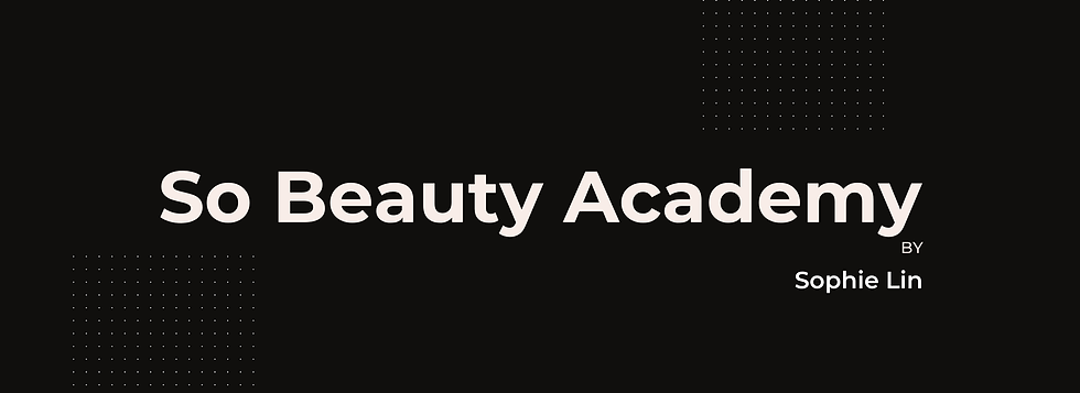 banner web academy sin So.png