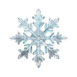 pngtree-3d-rendering-snowflake-isolated-png-image_9192400.png