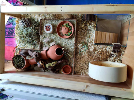 Ein 126 x 66 x 66 cm Eigenbau mit 30 x 30 cm Sandbad und 33 cm Laufrad.