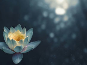 Top 10 Wellness Practices for Mental Health