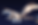 Screenshot 2026-03-19 at 11.13.12 AM.png