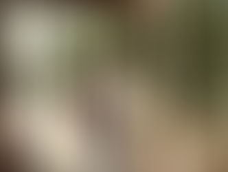 Case Study #7: What I’ve Learned and Why I’ve Done What I’ve Done to Get Off Fossil Fuels