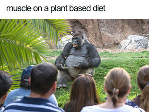 CFREE Tip #9.7 Benefits of a Plant–Based Diet