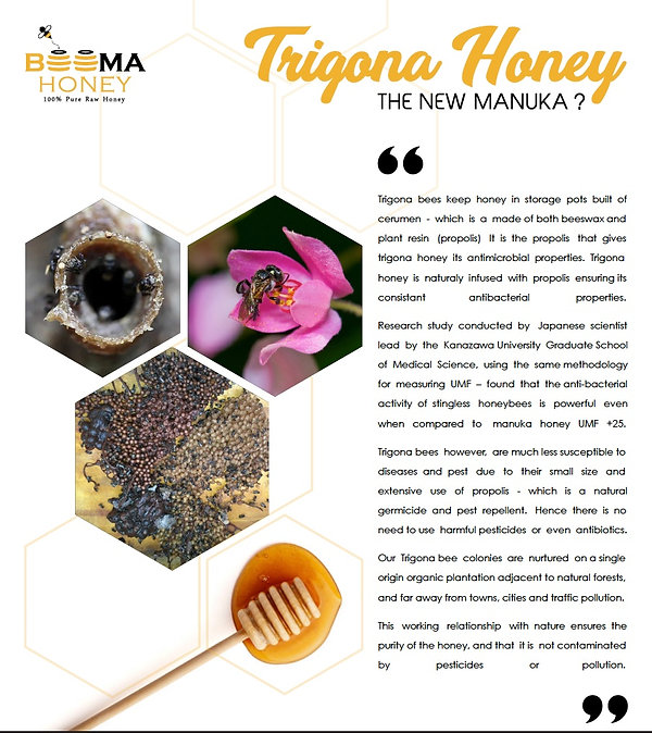 Trigona Stingless Bee Honey