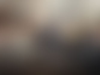 Law and the City (2025)