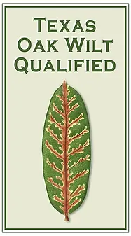 International Society of Arboriculture - ISA Certified Arborist Texas Oak Wilt Qualified