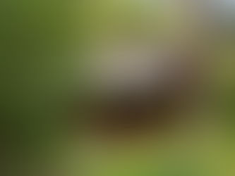 【業務紹介】さのう高原のロッジ管理業務に行ってきました🏕️